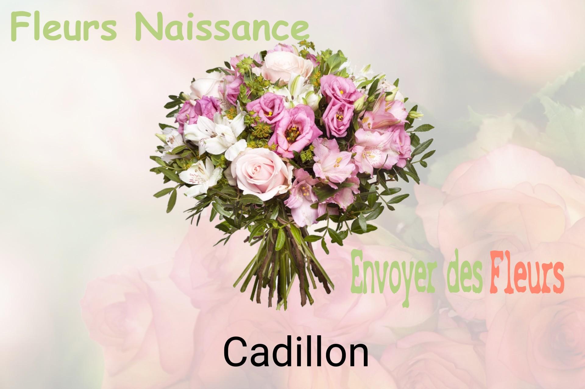 Bouquet de fleurs de naissance livré à Cadillon